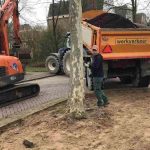 grondverbetering boomspiegel aanbrengen