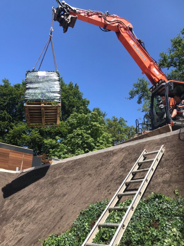 Vinca minor op stijl talud