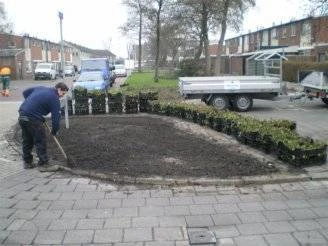 Gemeente Katwijk werkt met kant-en-klaar plantenmat