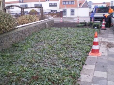 Gemeente Katwijk werkt met kant-en-klaar plantenmat