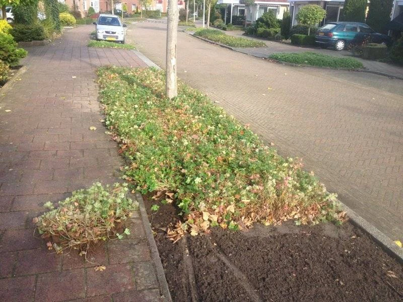 Parkeerplaats Woningbouwvereniging Zwolle covergreen