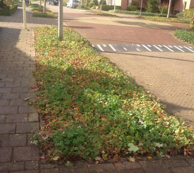 Berkel Milieu Lochem Plantmatten