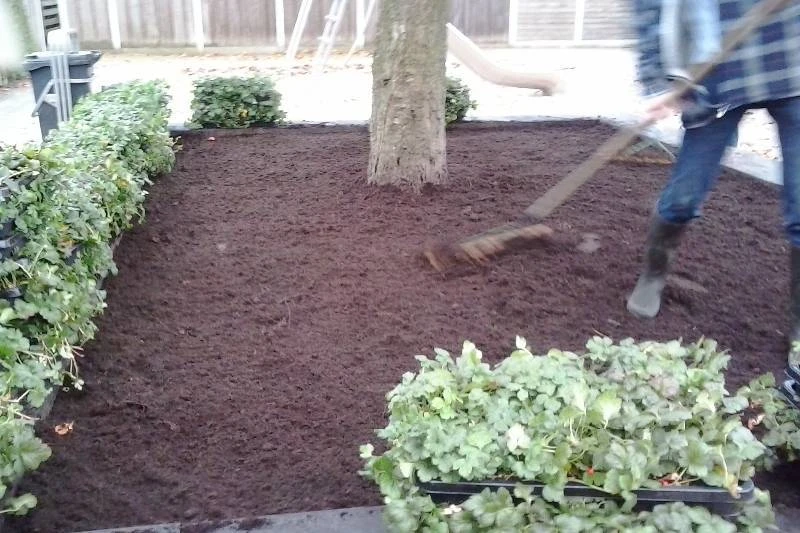 Boomspiegel in de gemeente Berkelland covergreen