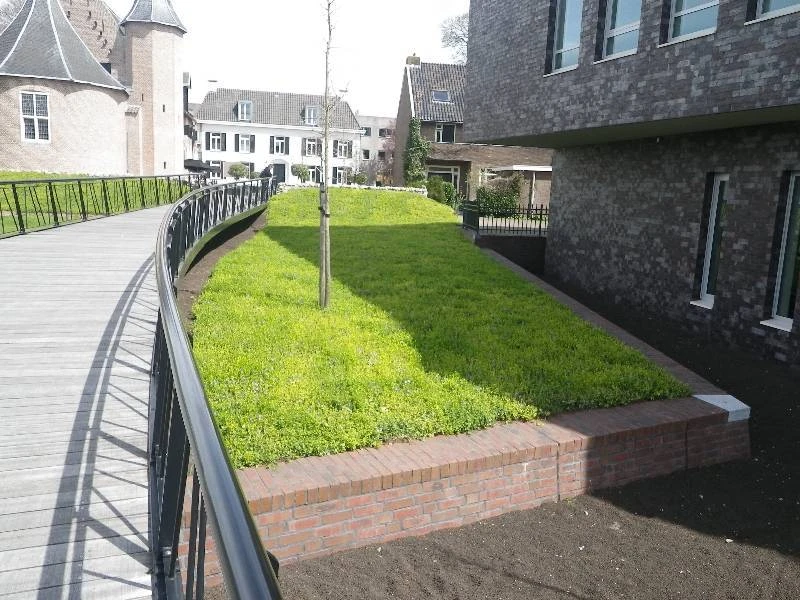 Gemeente Coevorden Plantenmat