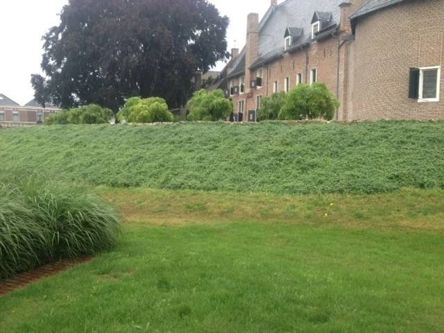 Gemeente Coevorden Plantenmat
