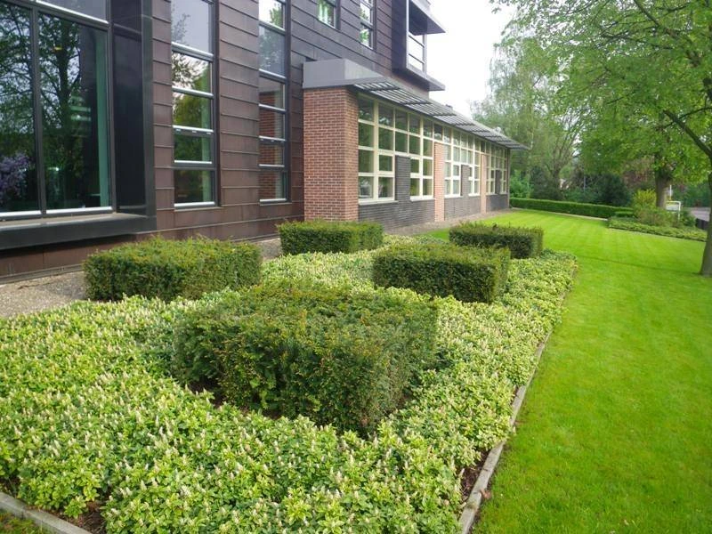 Kantoorgebouw (Voeding & Covergreen)