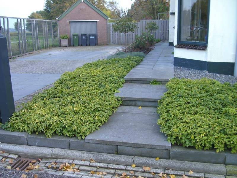 doesburg covergreen Particulieren tuin