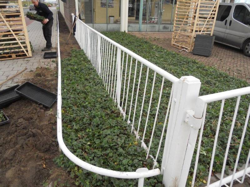 Gemaal Katwijk aan zee covergreen