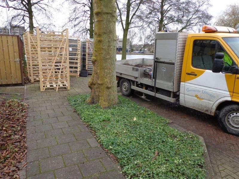 Boomspiegels gemeente Uithoorn covergreen