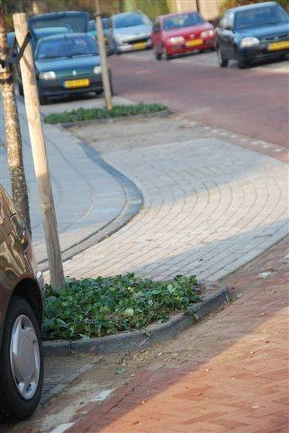 Gemeente Hengelo maakt gebruik van Waldsteinia