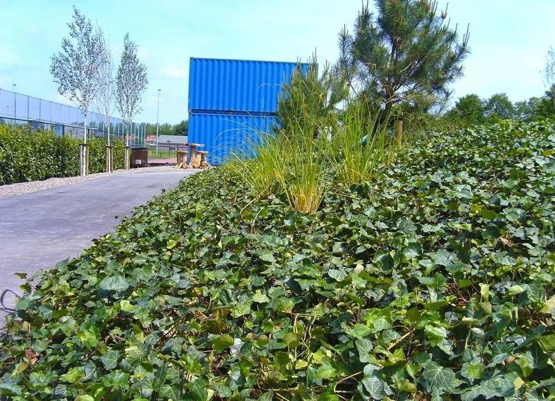 Kartbaan Heerhugowaard Covergreen