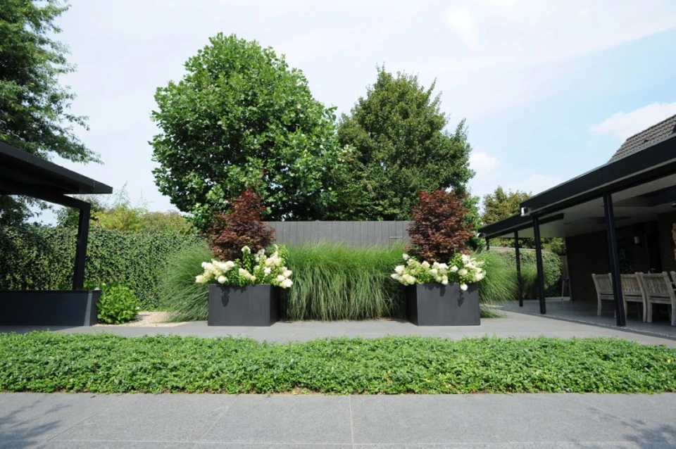 Onderhoudsvrije tuin met Vinca minor plantmatten