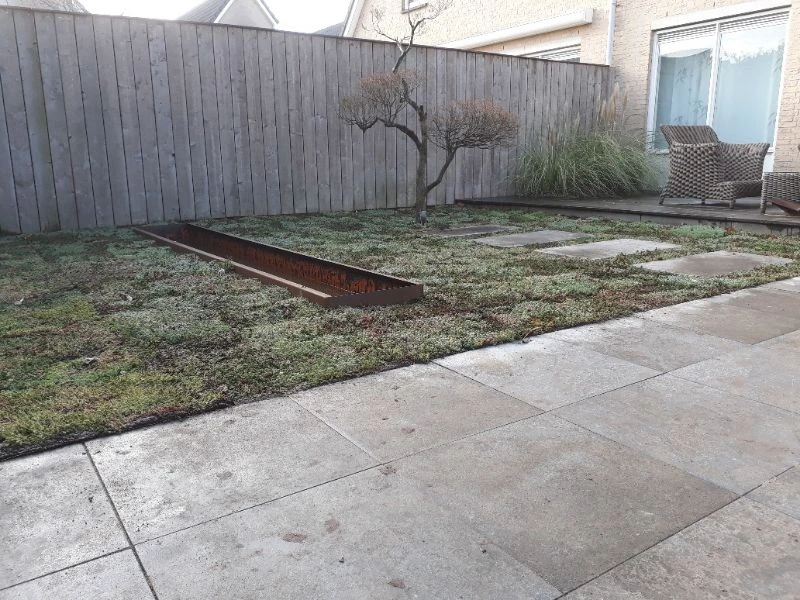 sedum-op-kleigrond-covergreen