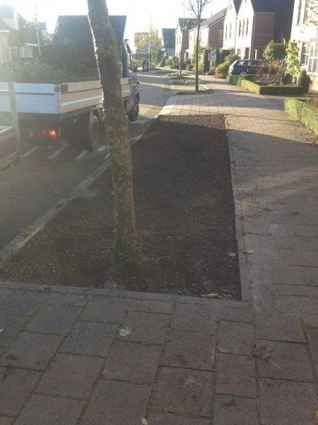 Gemeente Lochem plantenmatten covergreen