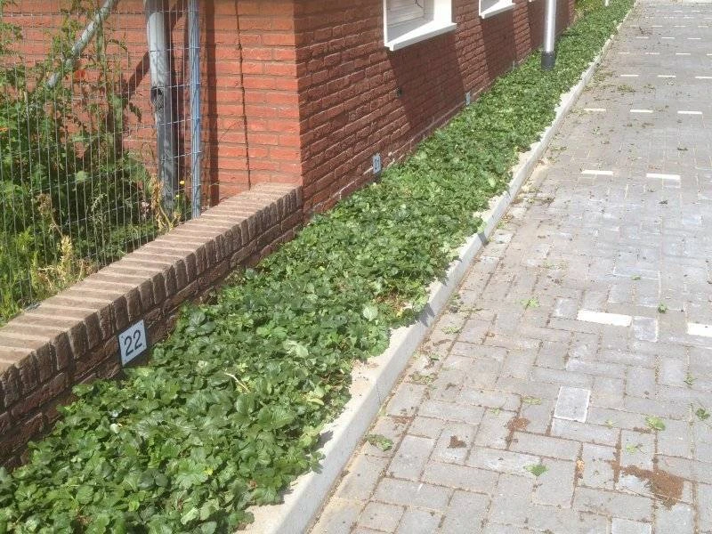Parkeerplaats Woningbouwvereniging Zwolle covergreen