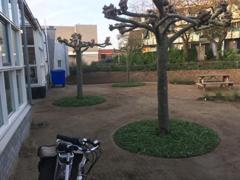 Ronde boomspiegels met Covergreen maagdenpalm Vinca minor door Johan Wolters Colmschate