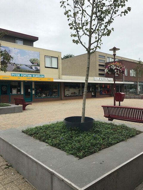 Boombakken ingeplant met vaste planten