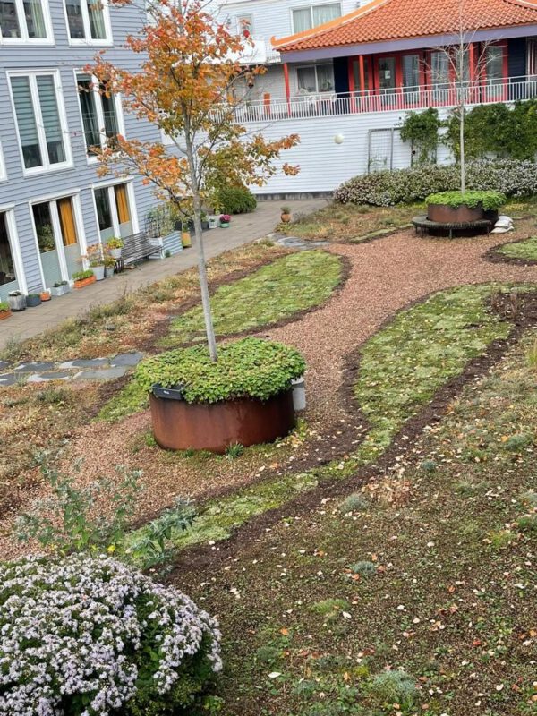 Green roof intensive and extensive