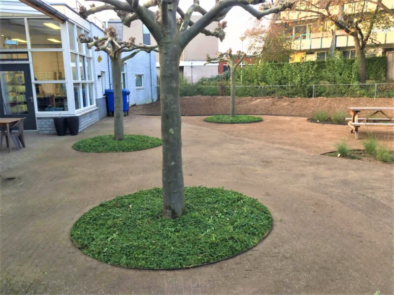 Round tree base