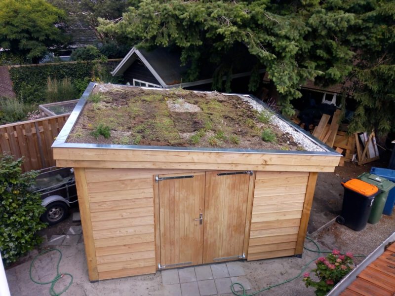 Grünes Dach auf Gartenhaus