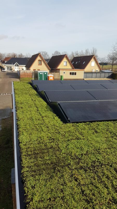 Flat roof with solar panels and sedum