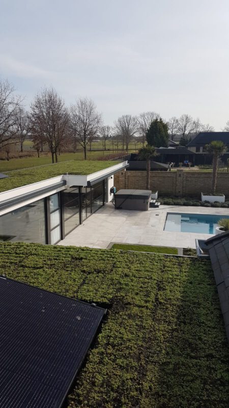 Green roof on outbuilding with swimming pool