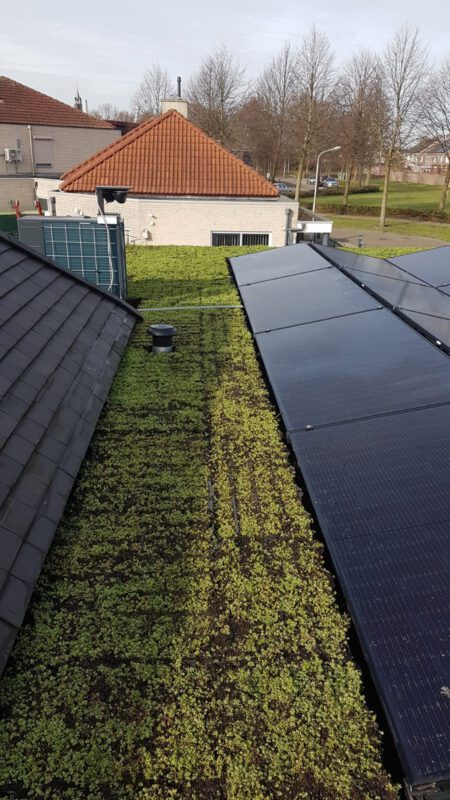 Nachhaltigkeit auf dem Dach!