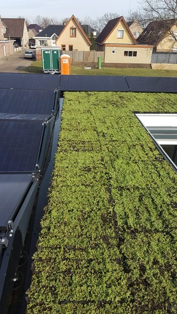 Sonnenkollektoren und grünes Dach